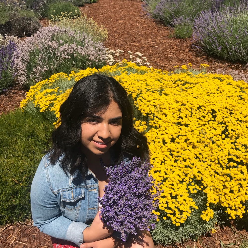 Meet your Posher, Iraiza